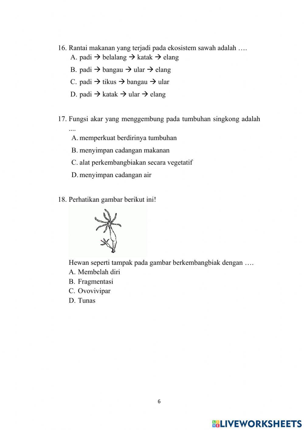 Lomba Kemerdekaan