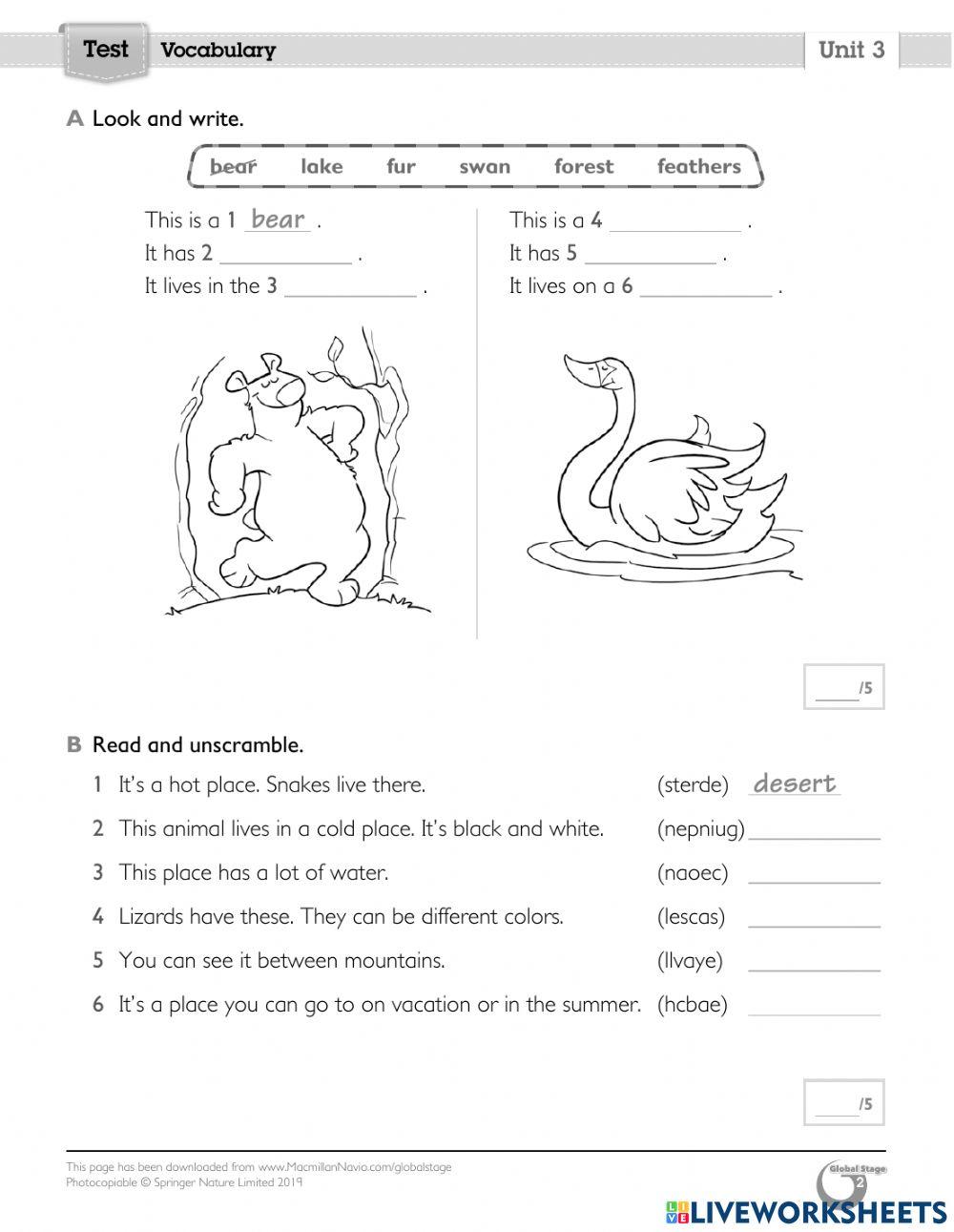 global stage 2 - unit 3 review