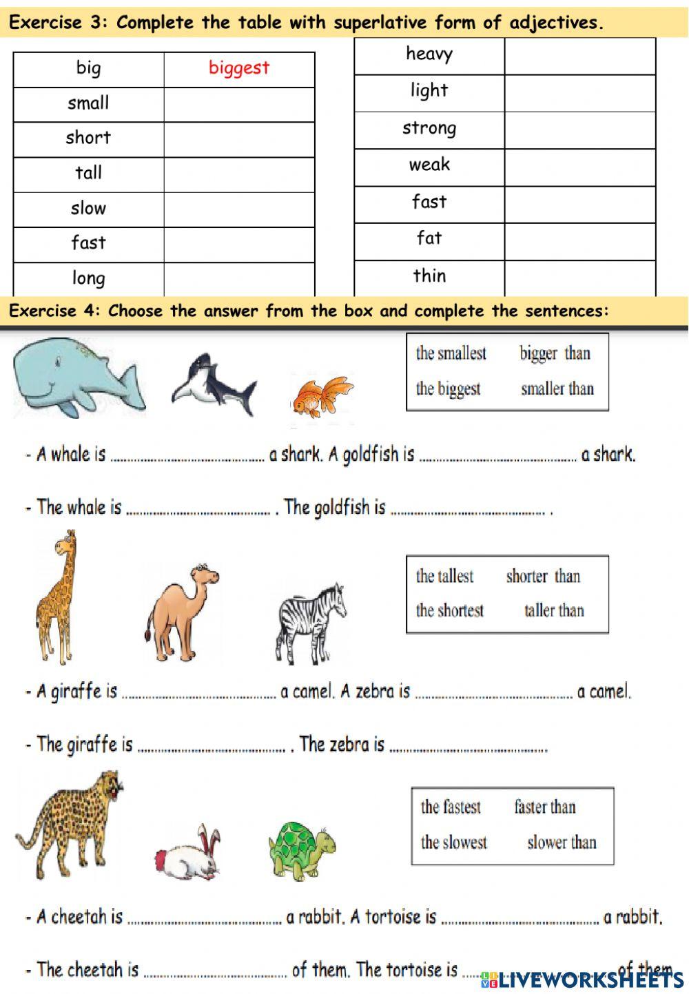 Wild animals Lesson 2