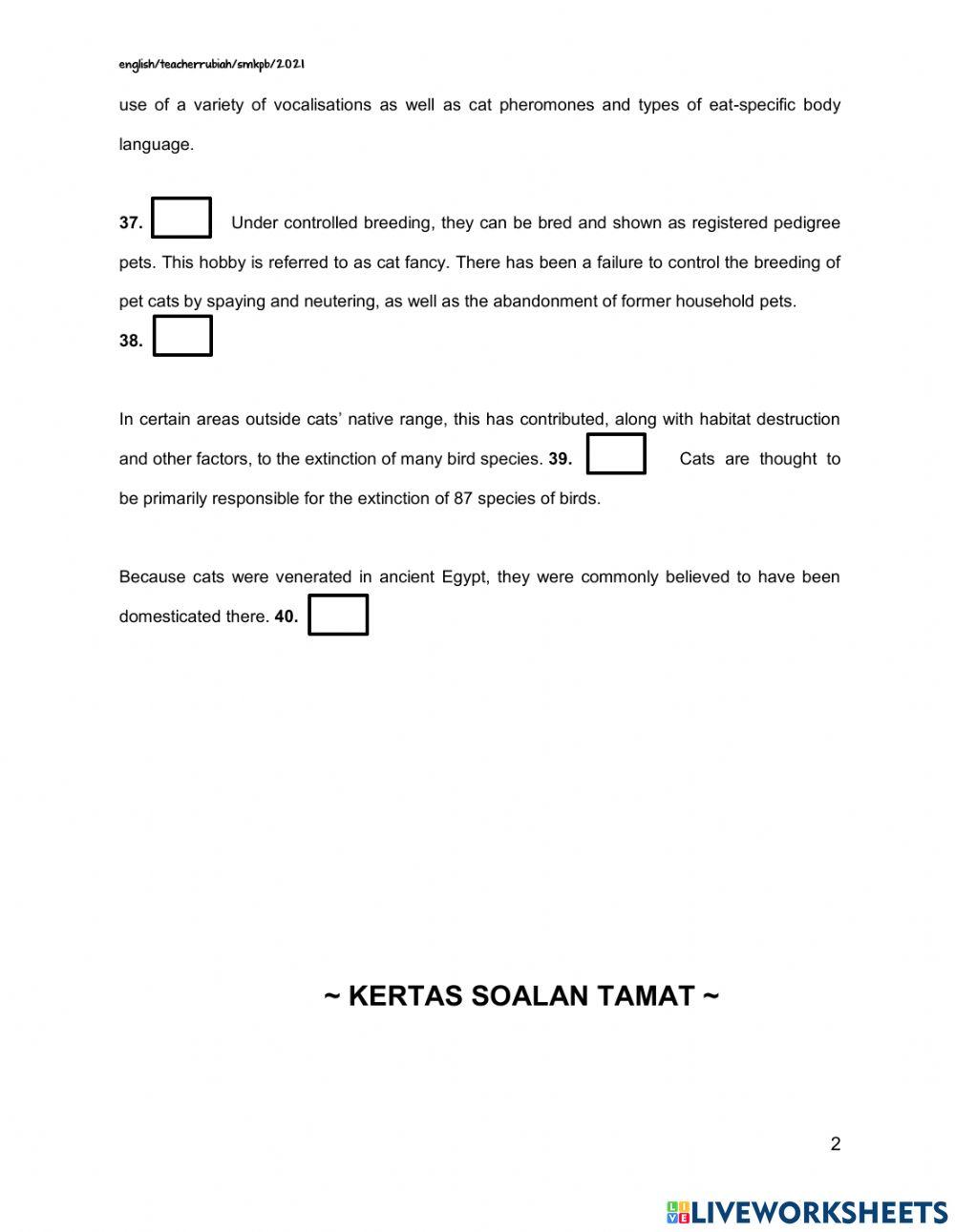 PRE SUMMATIVE ENGLISH Part 5