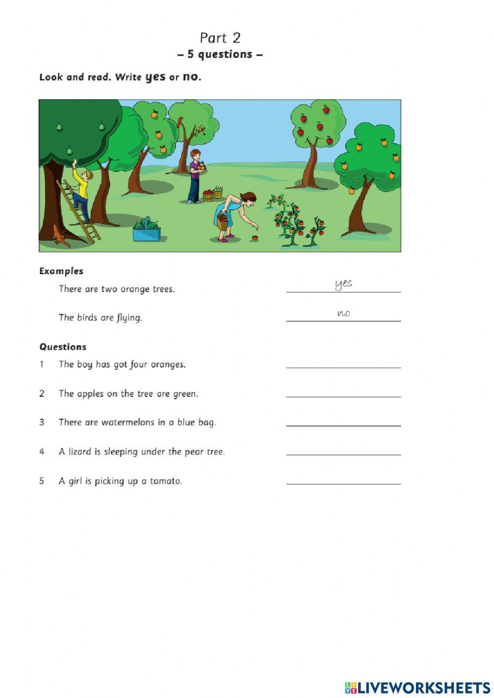 Stater plus 3-17-8 Mrs Nguyen Luyen