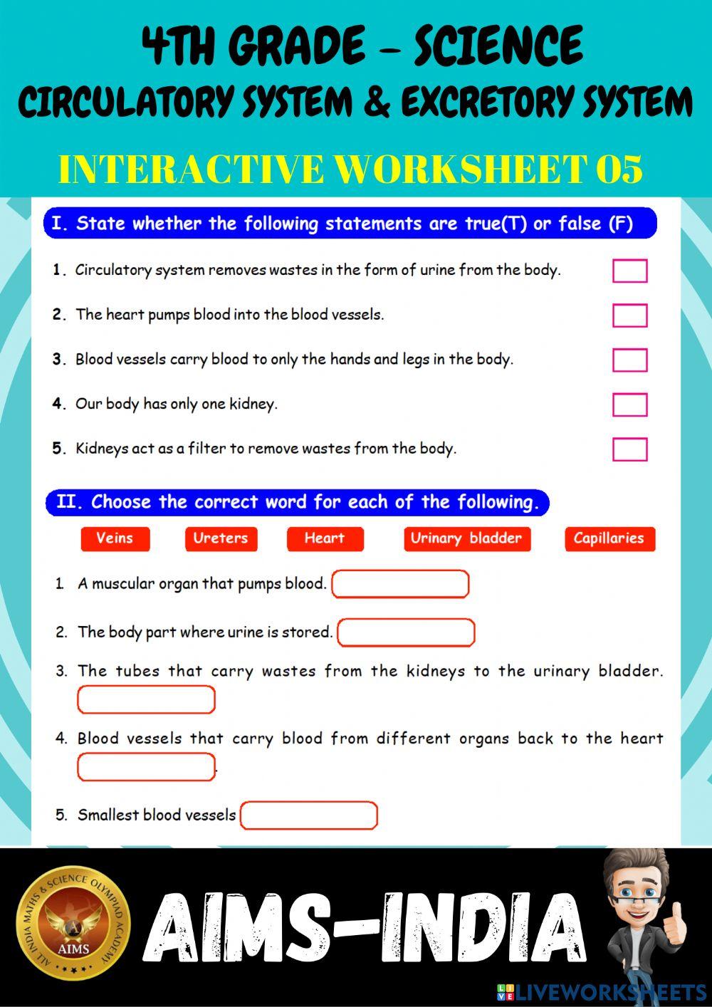 4th-science-ps05-circulatory system & excretory system