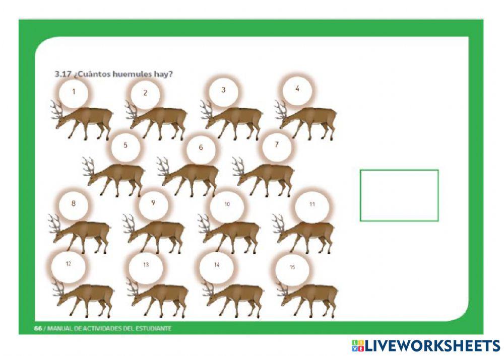 Matemática Funcional IV