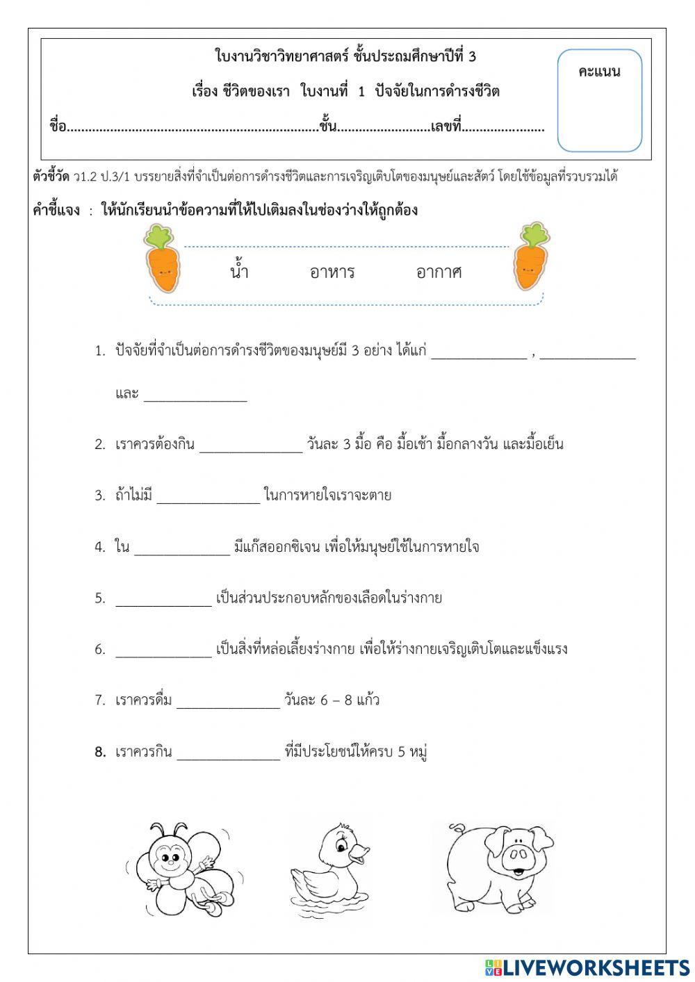 ใบงานวิทยาศาสตร์ ป. 3