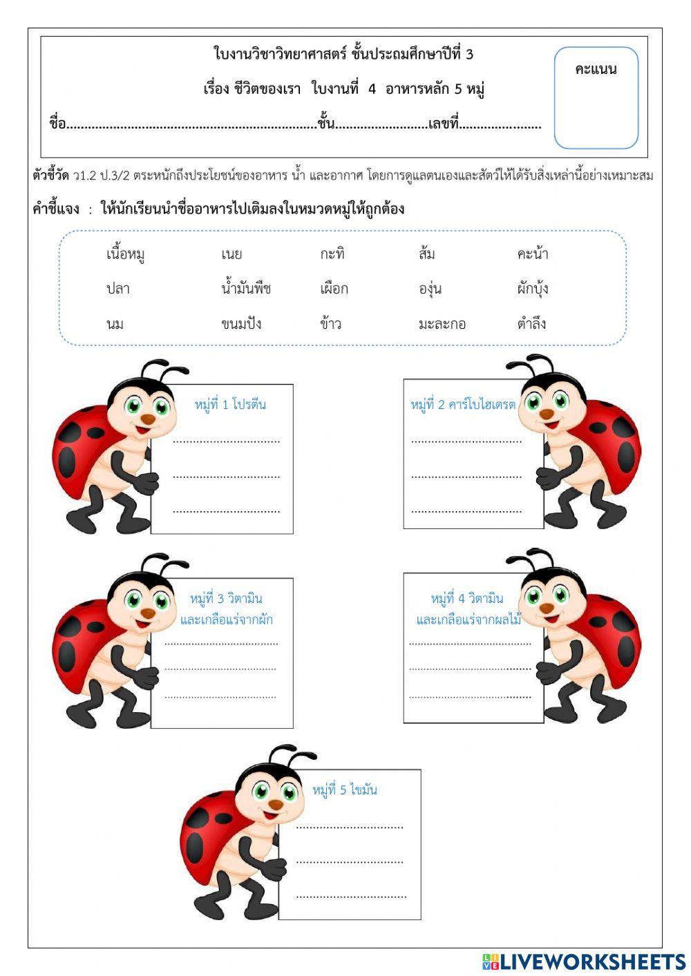 ใบงานวิทยาศาสตร์ ป. 3