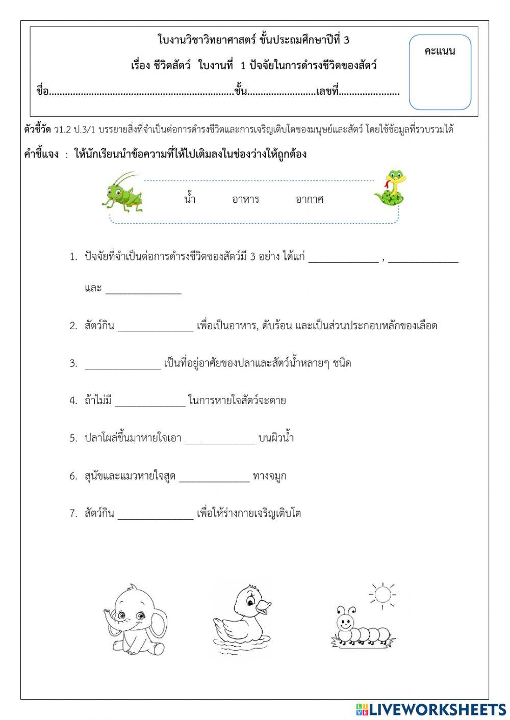 ใบงานวิทยาศาสตร์ ป. 3