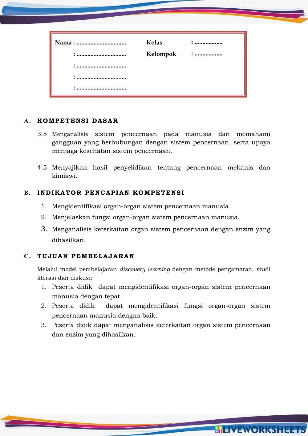 Sistem Pencernaan manusia