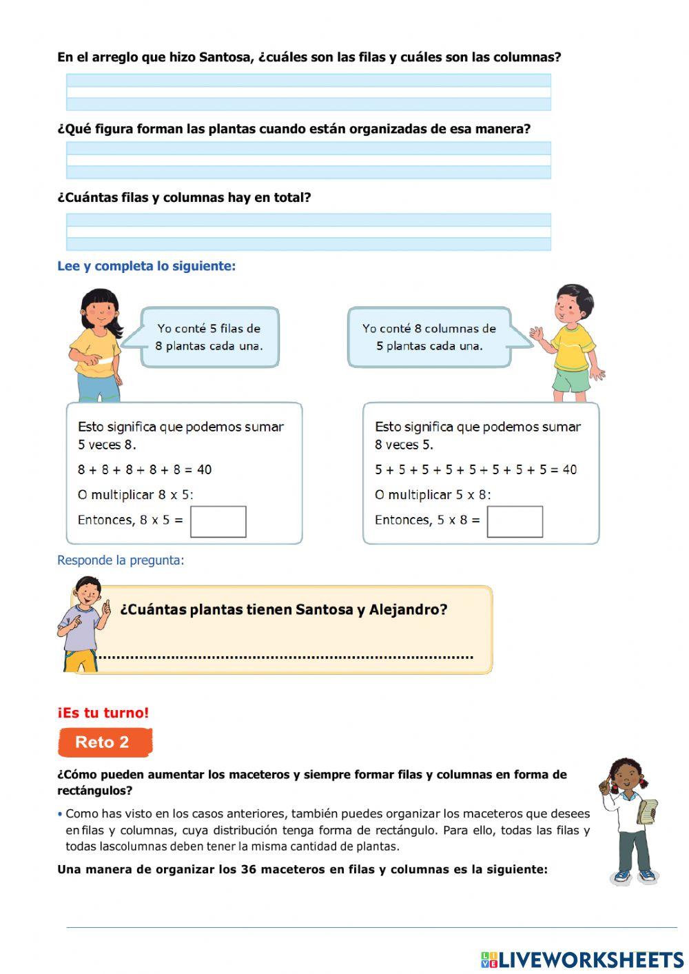 Organizamos nuestros maceteros en un espacio rectangular