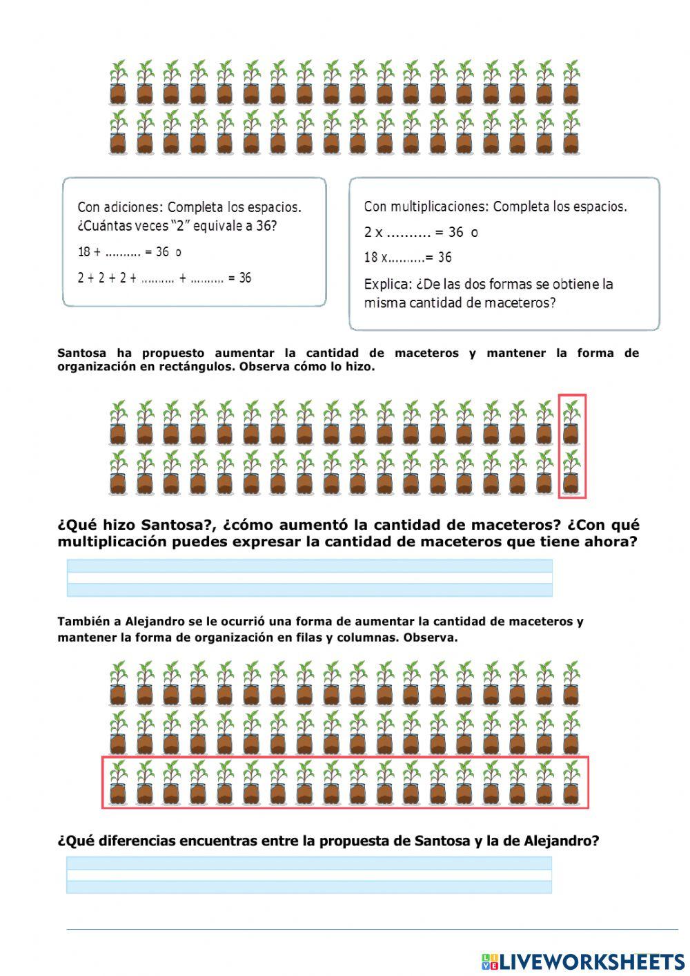 Organizamos nuestros maceteros en un espacio rectangular