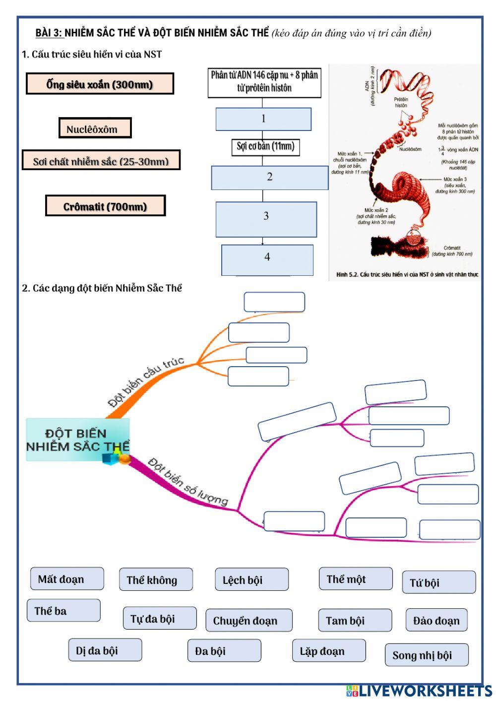 Ôn thi tnthpt môn sinh học