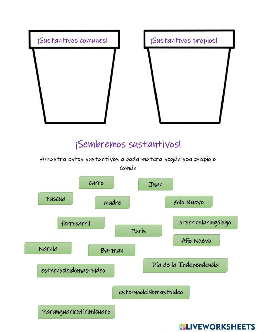 Sustantivos propios y comunes