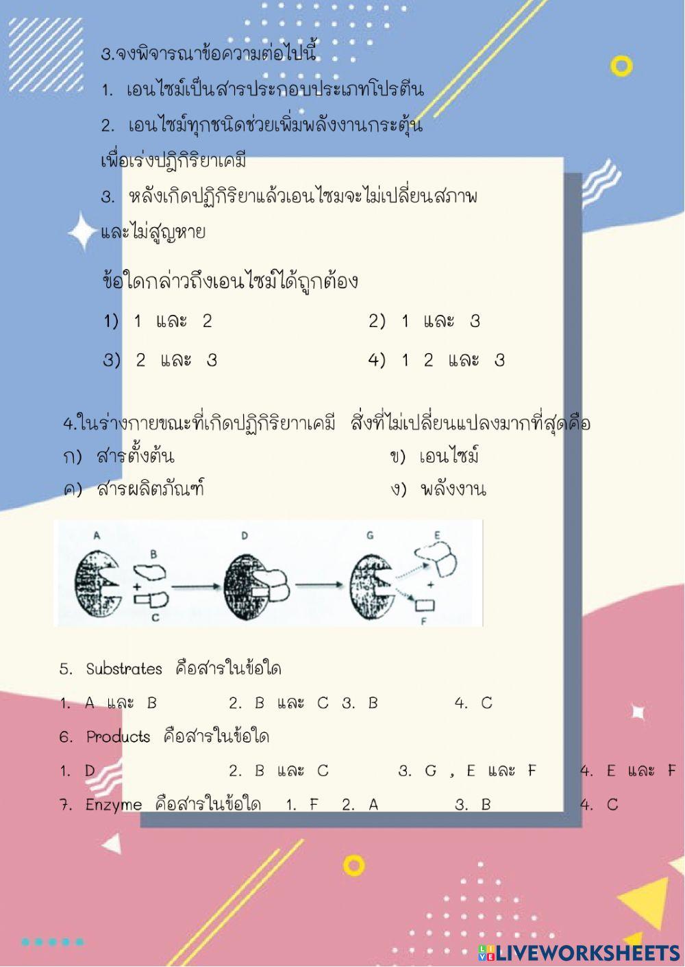 เอนไซม์