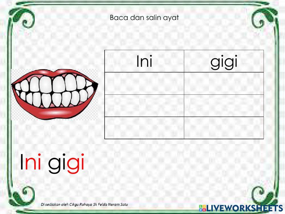 Salin suku kata kvkv CIKGU ROHAYA