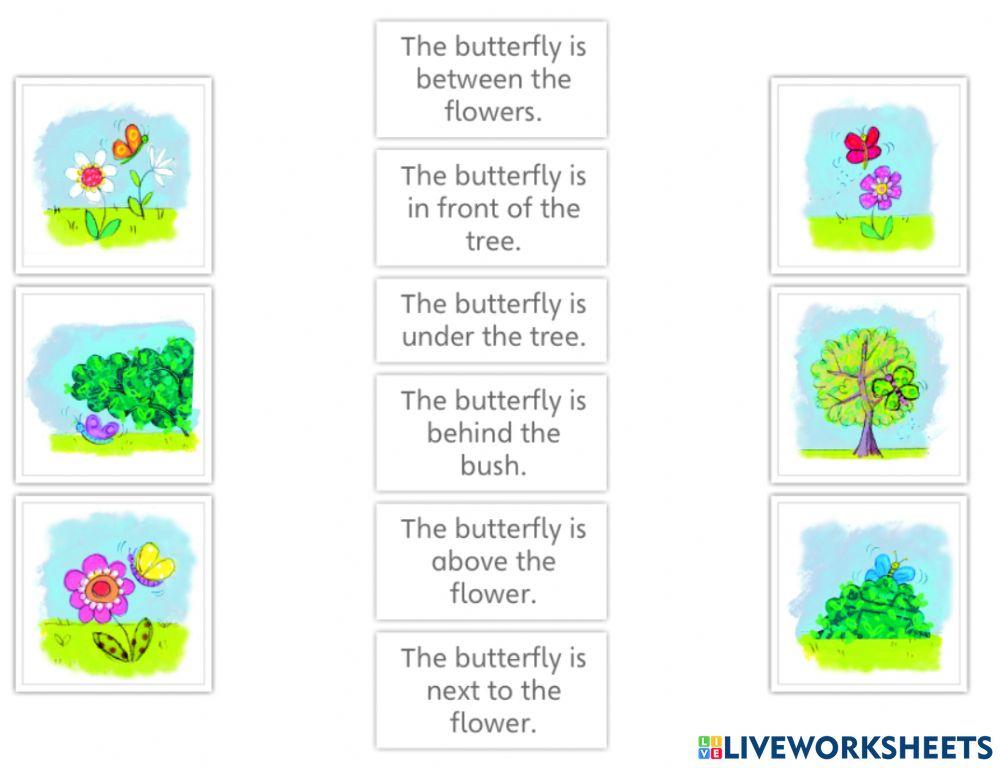 Prepositions of Place