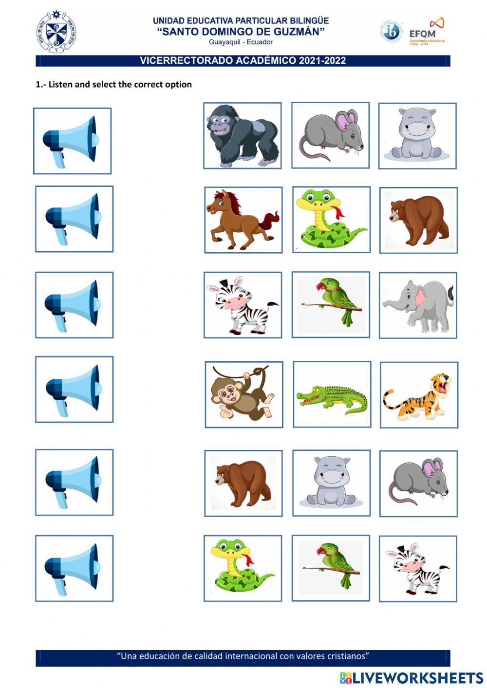 Animals vocabulary