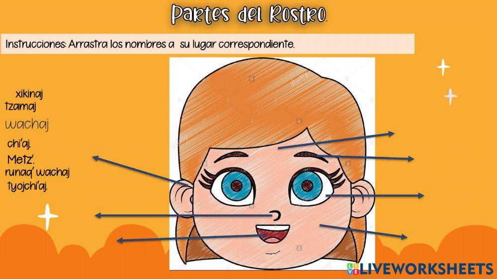 Partes del rostro en Kaqchikel