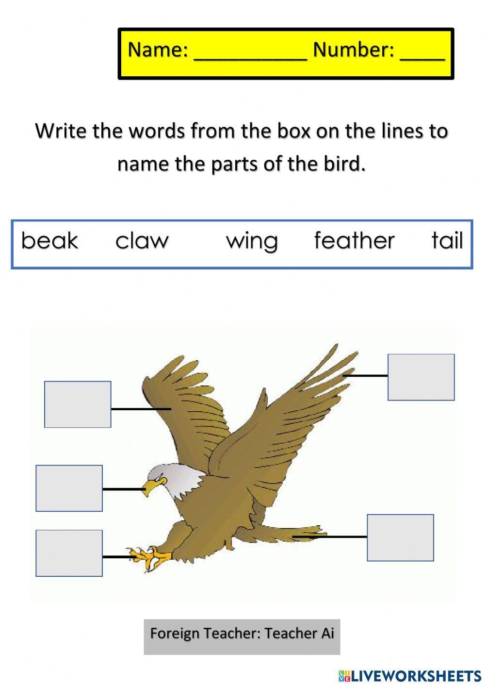 Parts of Bird and Crab
