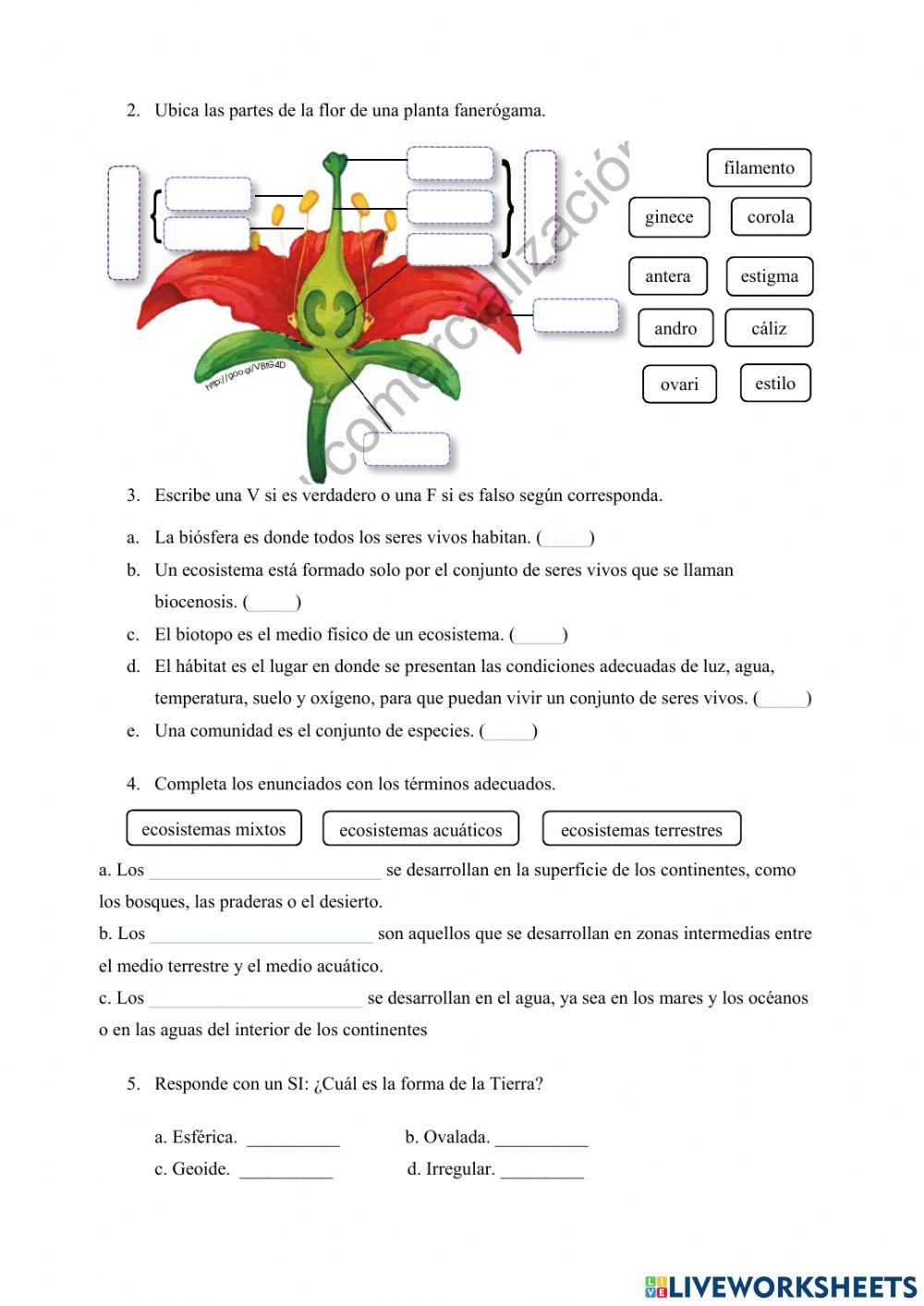 Evaluacion de ubicacion