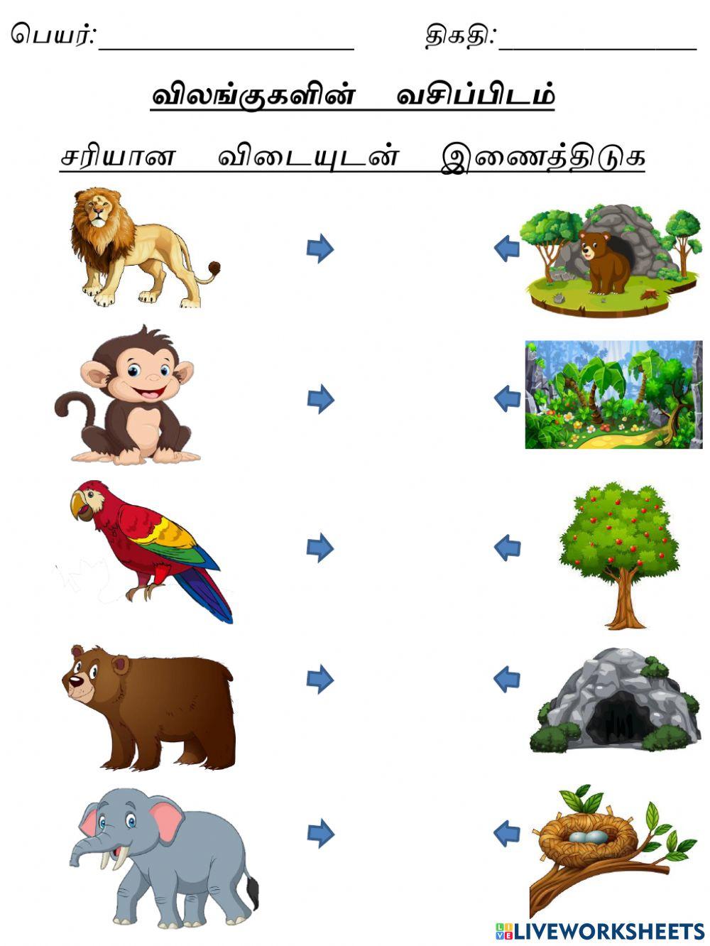 விலங்குகளின் வசிப்பிடம் 2