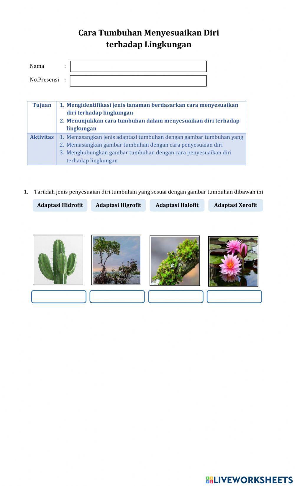 Penyesuaian diri tumbuhan