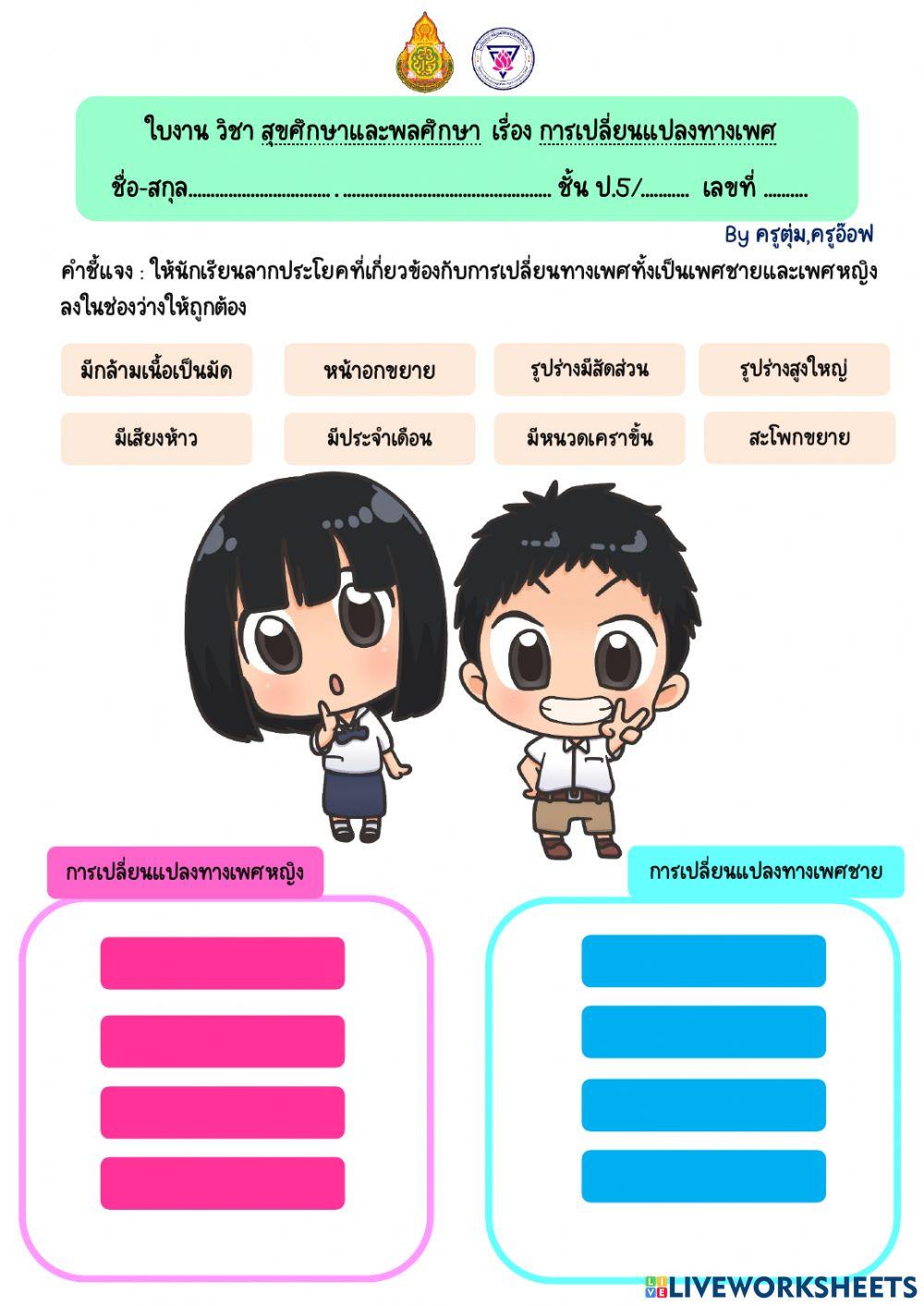 ใบงานการเปลี่ยนแปลงทางเพศ