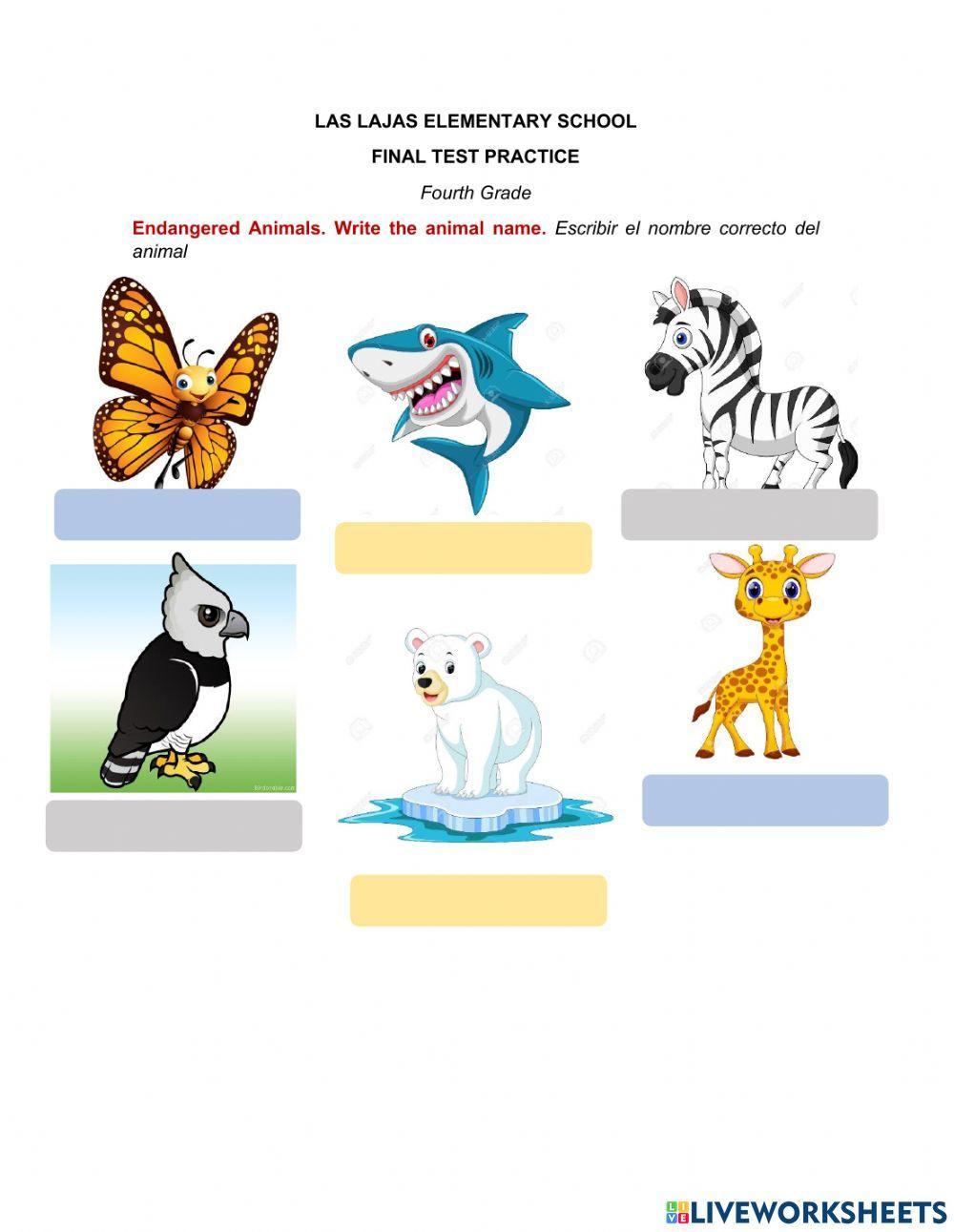 Final test practice 4