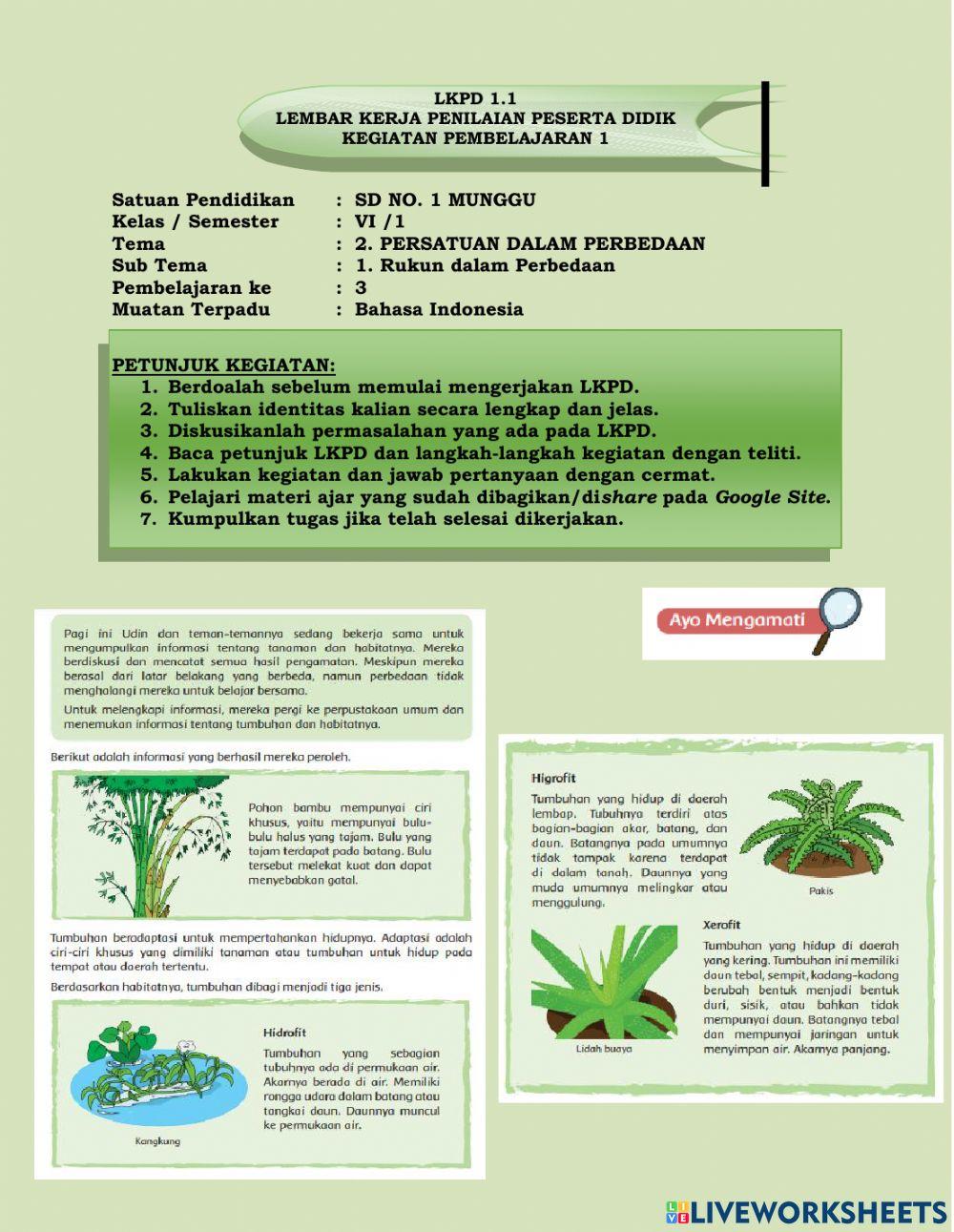 Tema 2 Subtema 1 Pemb.3