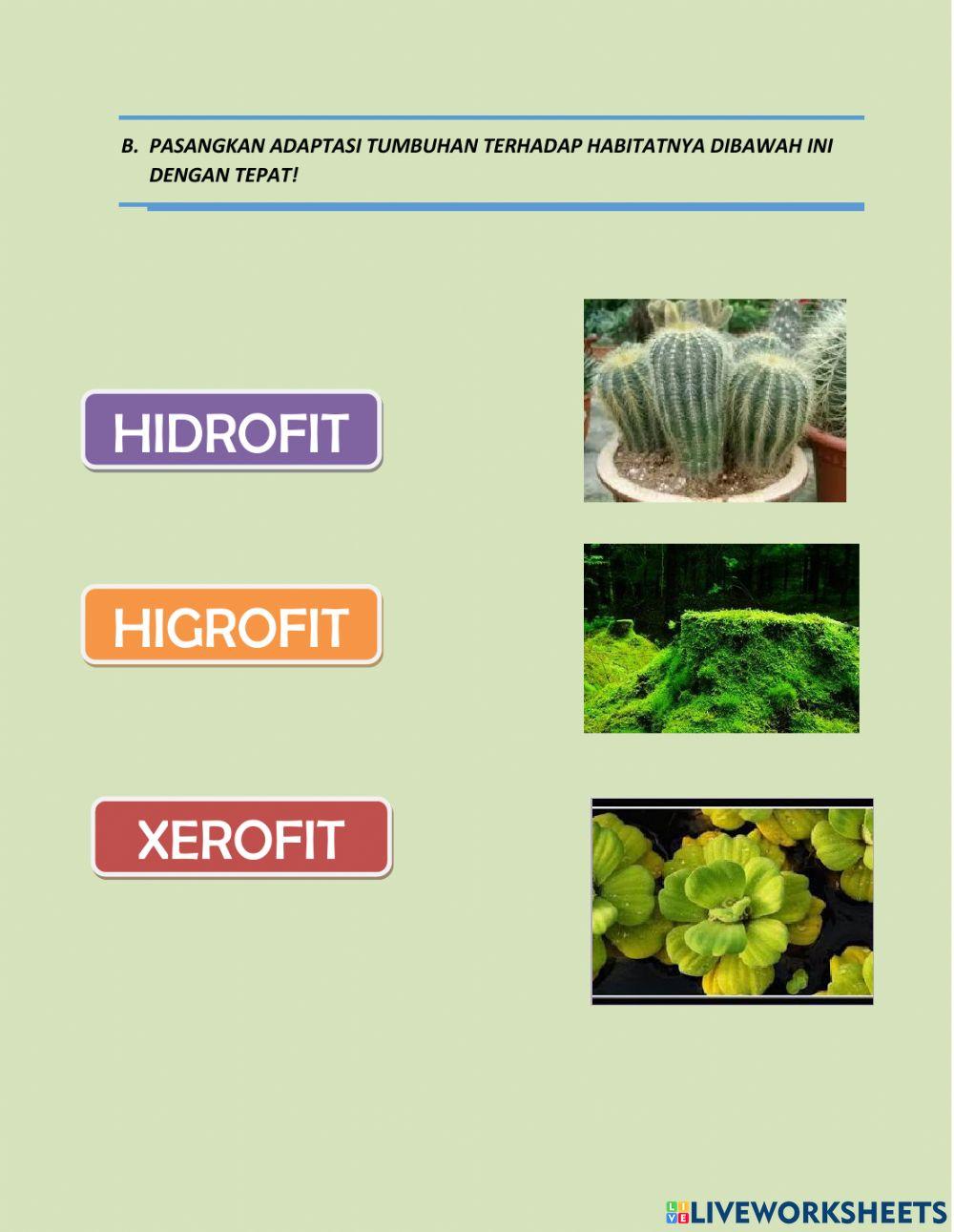 Tema 2 Subtema 1 Pemb.3