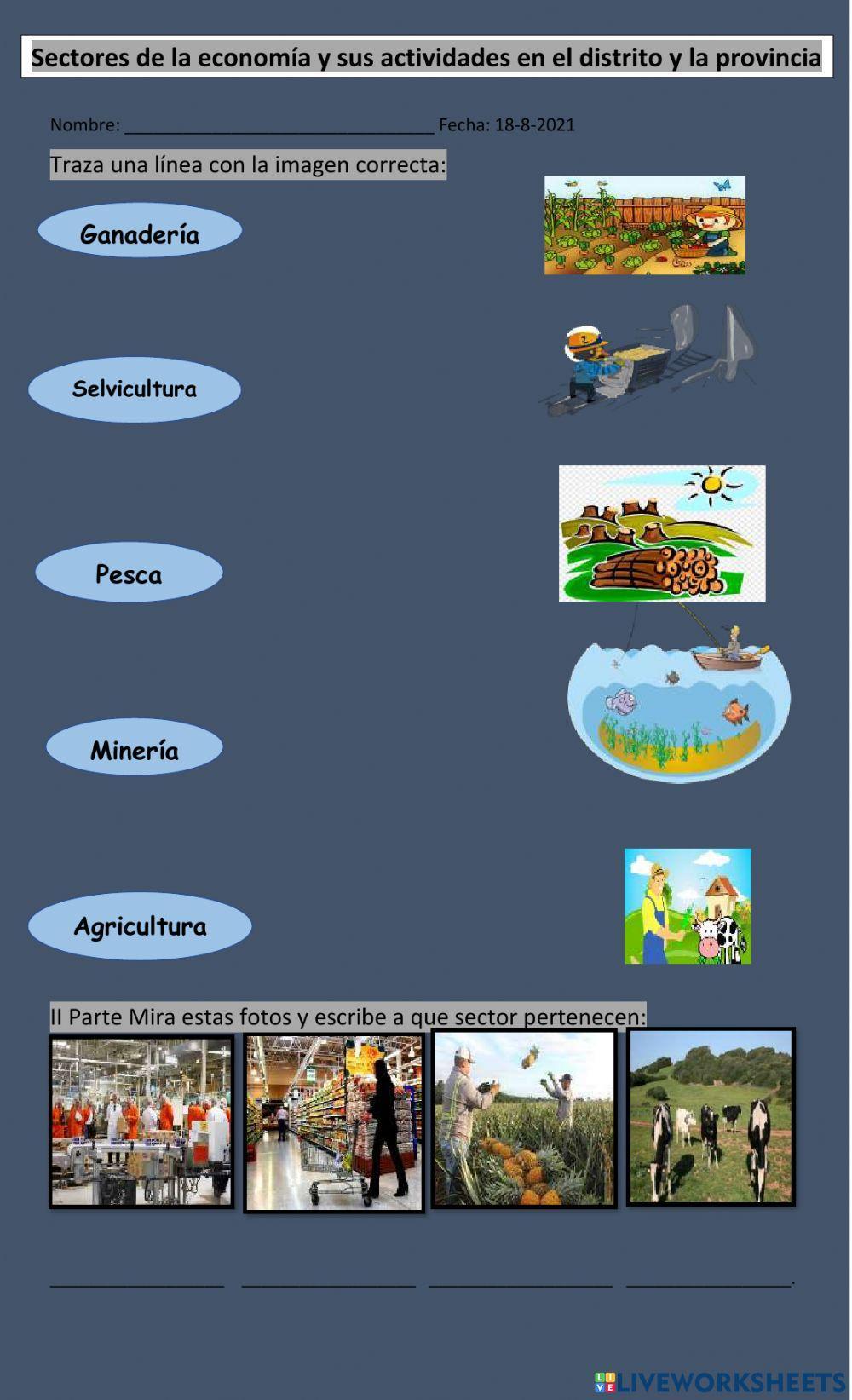 Los sectores económicos