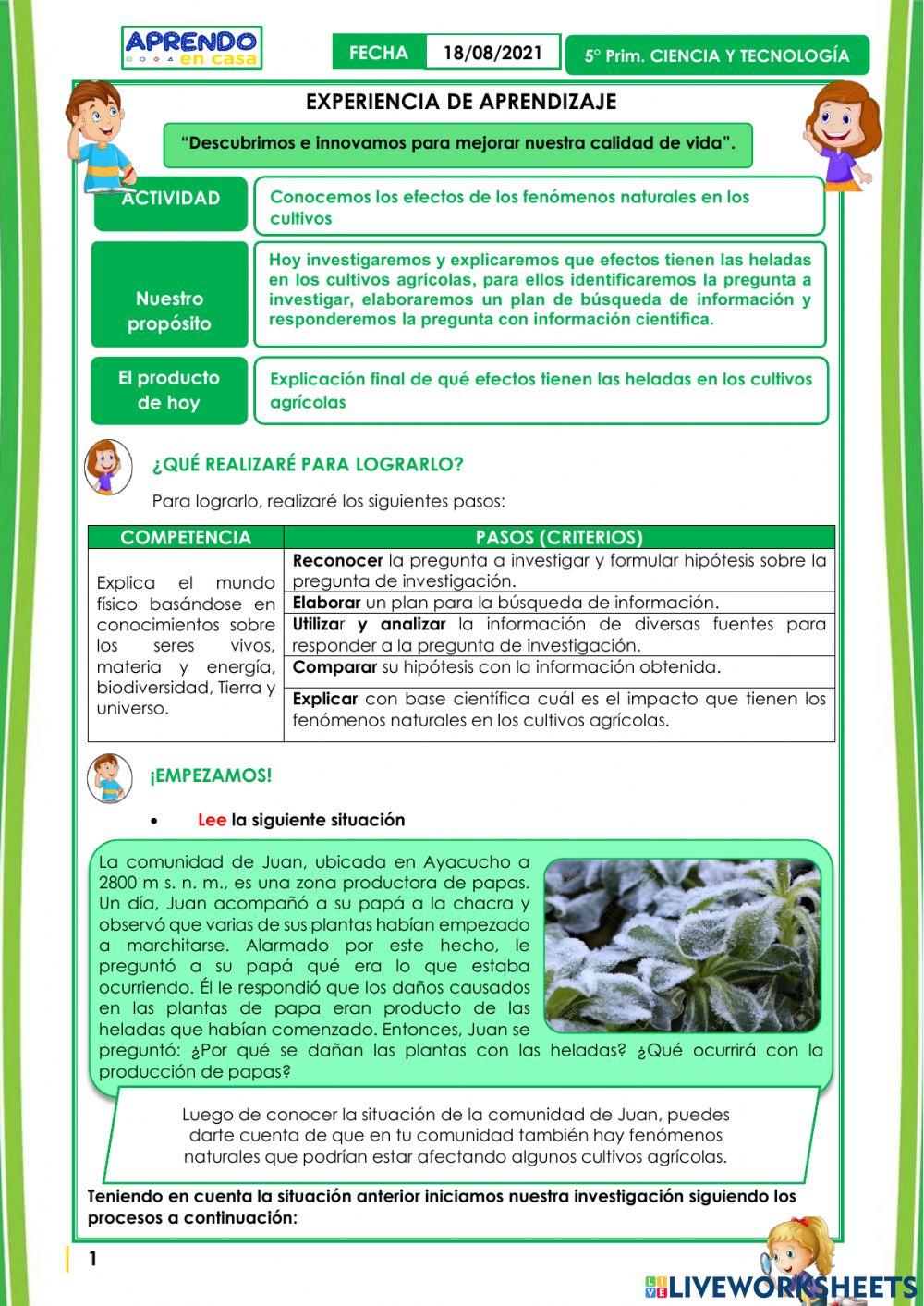 Conocemos los efectos de los fenómenos naturales en los cultivos