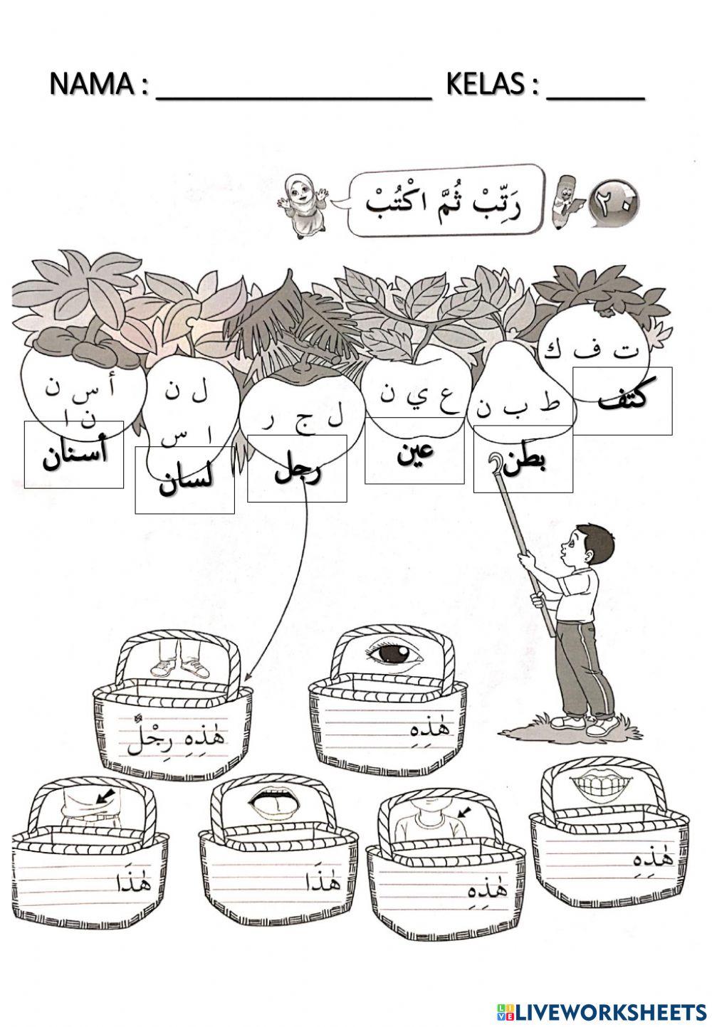 جسم السليم ms 68