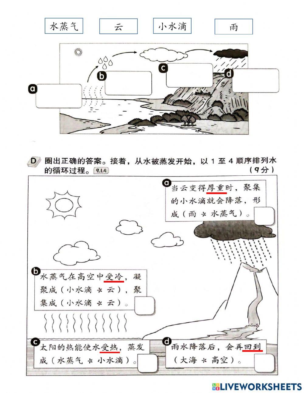 二年级科学单元九 水的循环