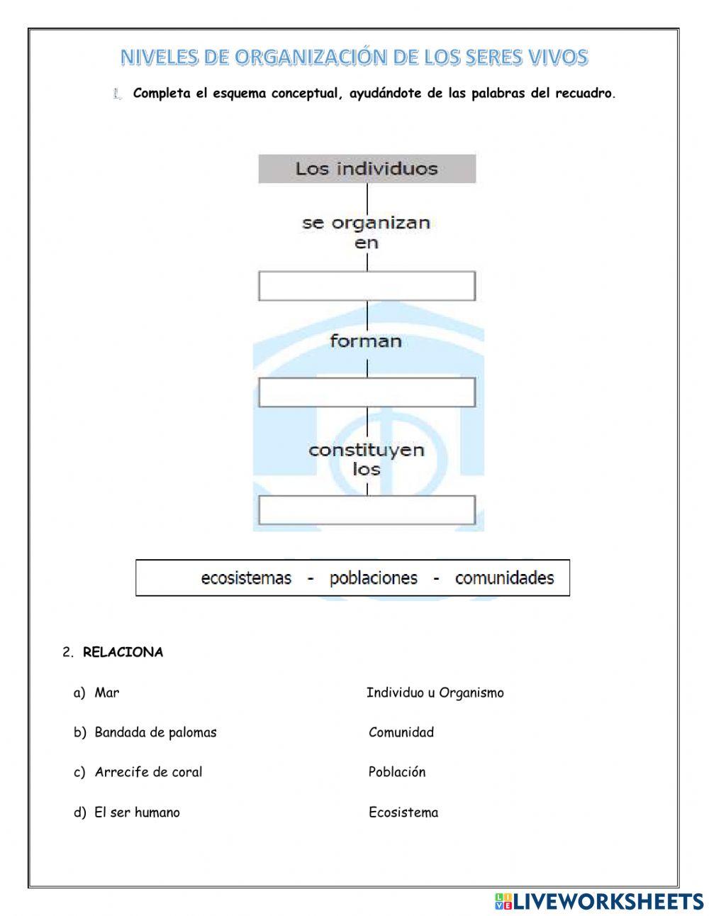 Niveles de organizacion de los seres vivos