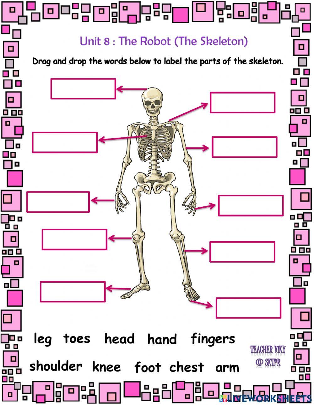Unit 8 : The Robot (Part of the Skeleton)