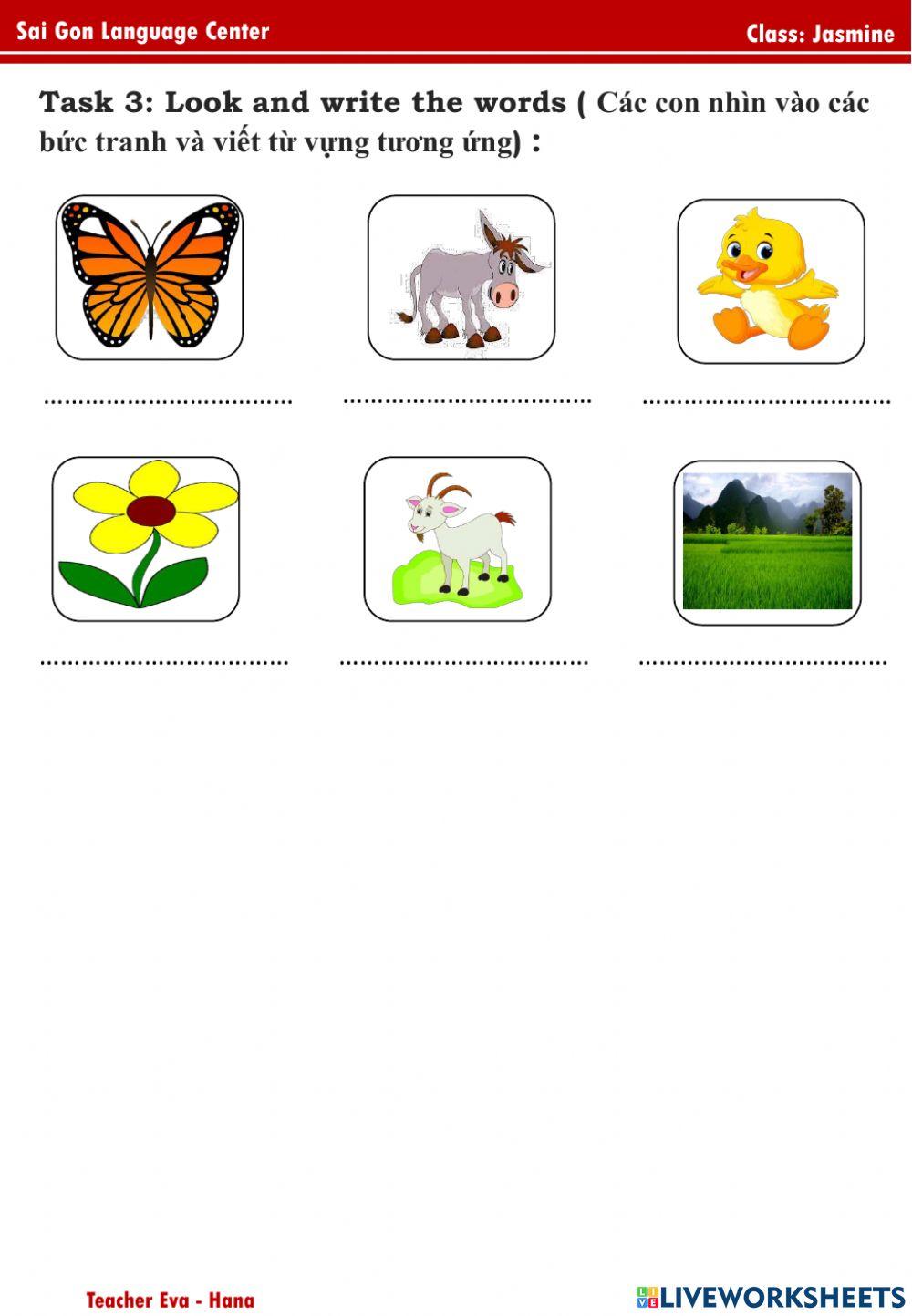 Jasmine Review Topic 6 (19.8.2021)