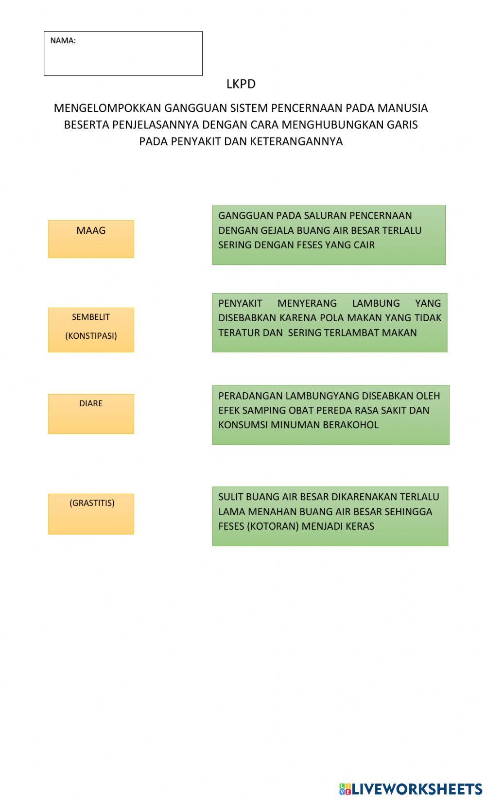 Gangguan organ pencernaan