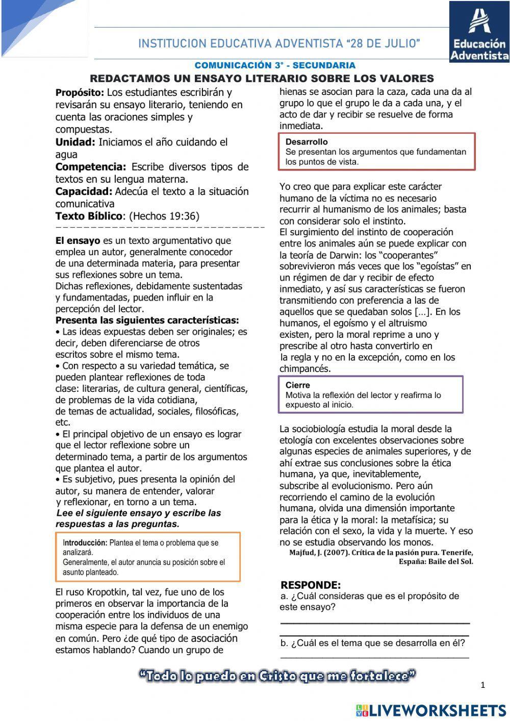 Redactamos un ensayo literario sobre valores
