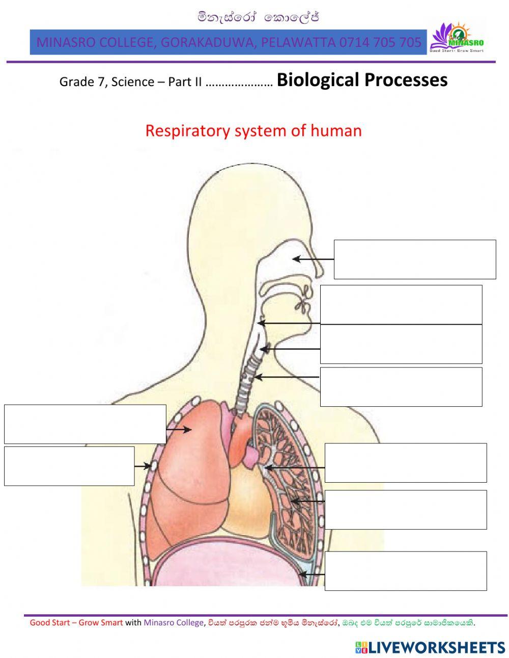 Sciense for Grade 7 - Minasro College