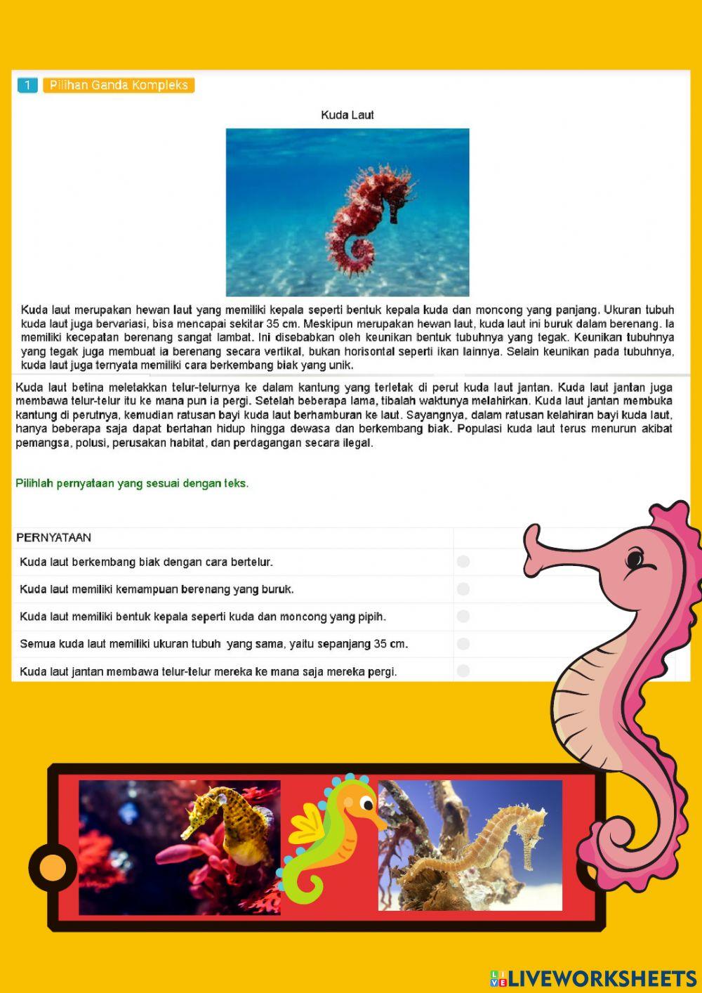 Latihan Soal Asesmen Nasional ANBK 2 kelas 5