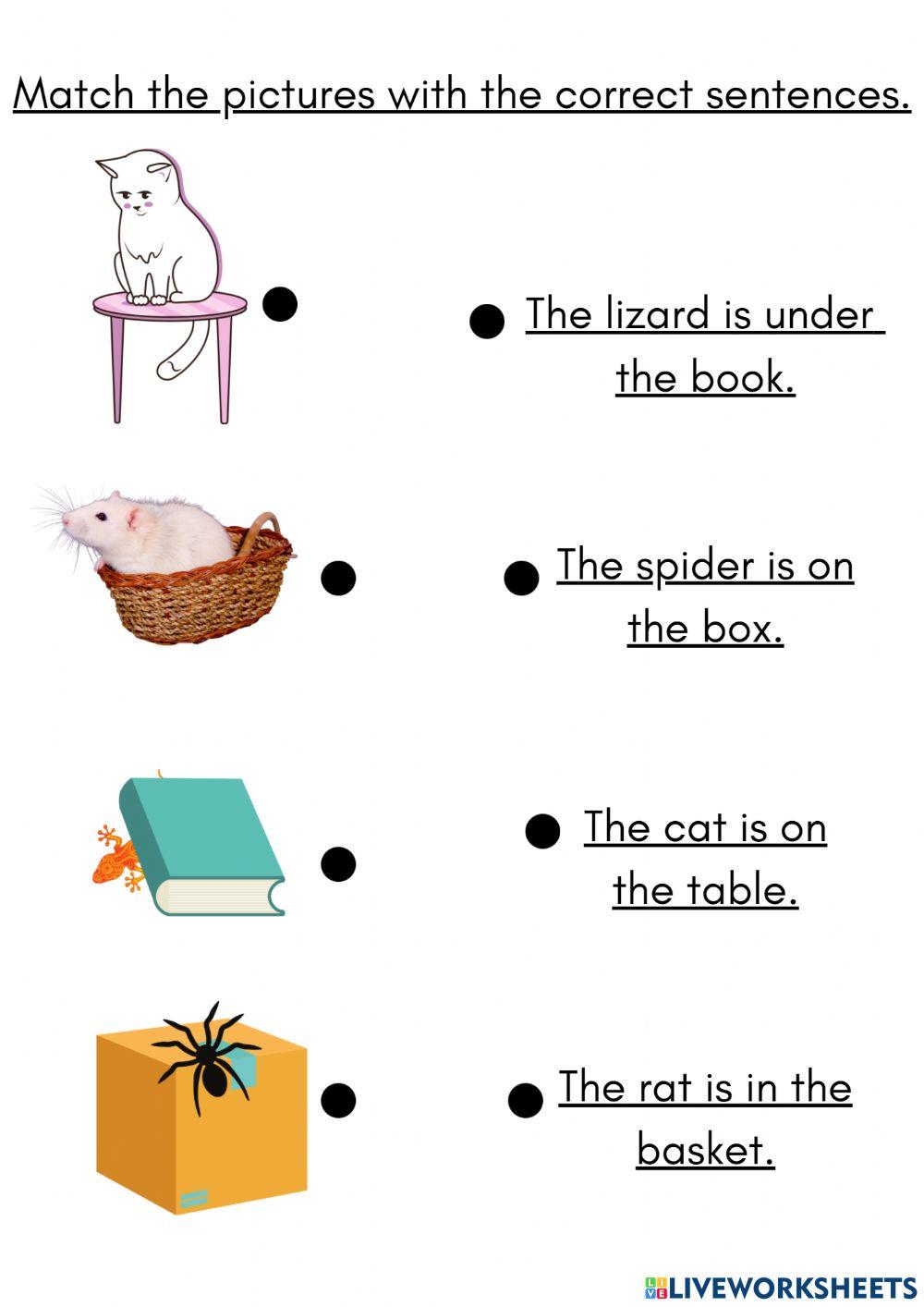 Preposition
