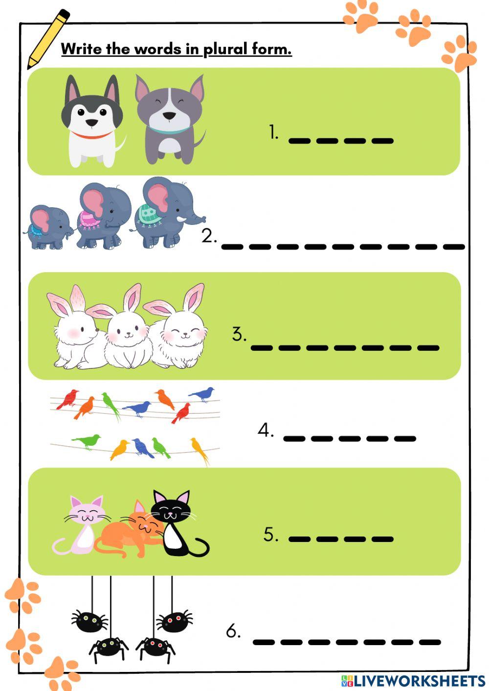 Singular & Plural (Animals)