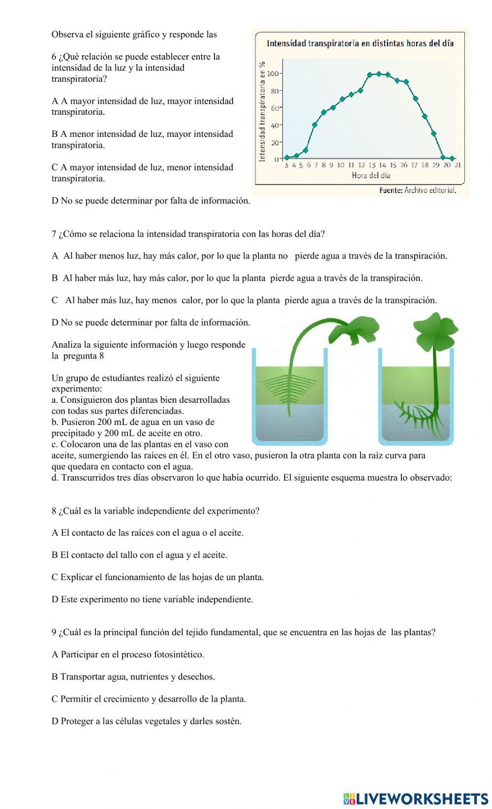 Transporte en la plantas