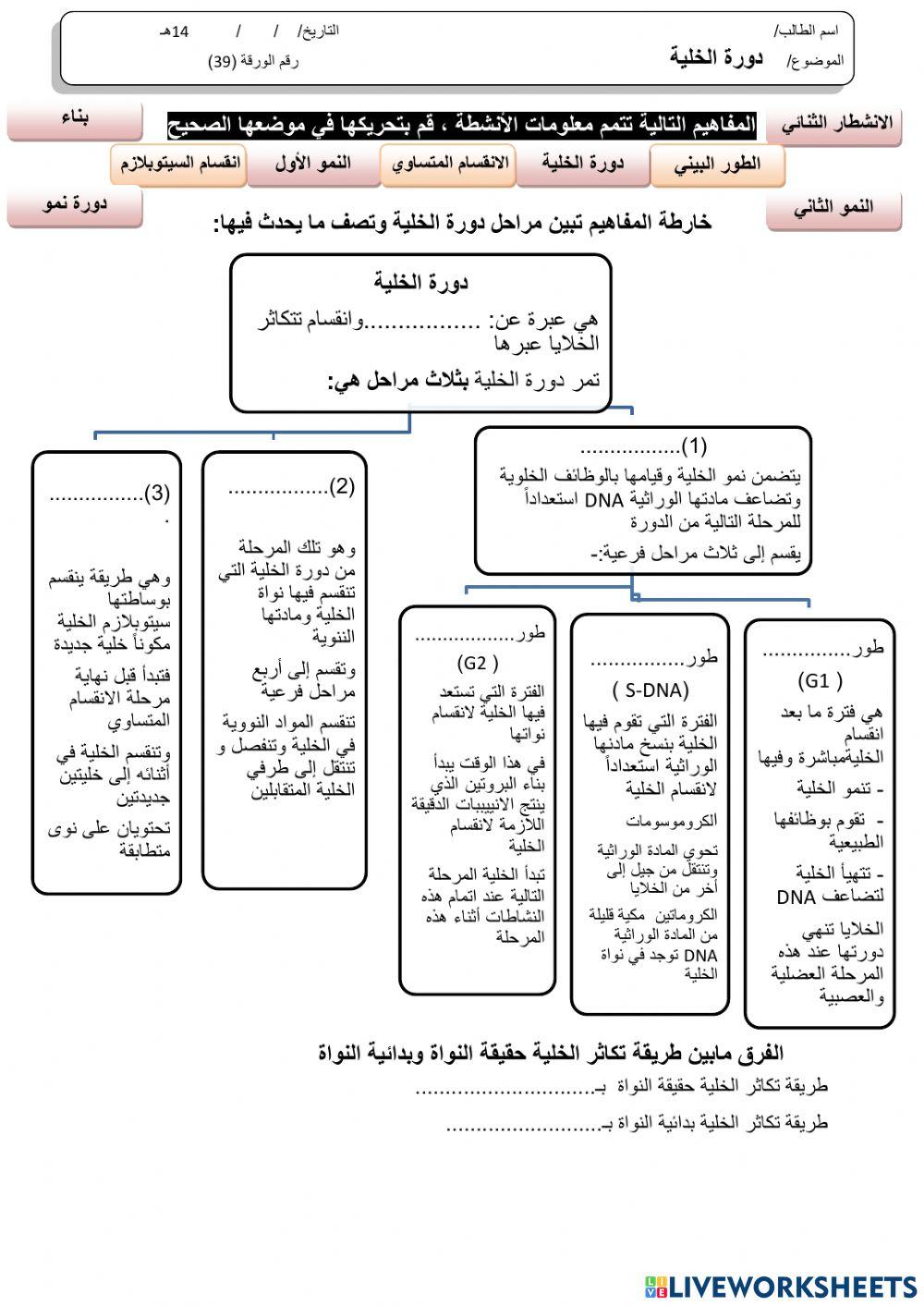 ورقة 39تفاعلية3