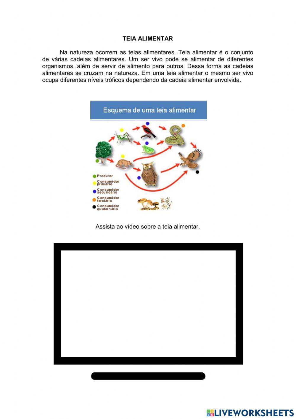 Cadeia e teia alimentar