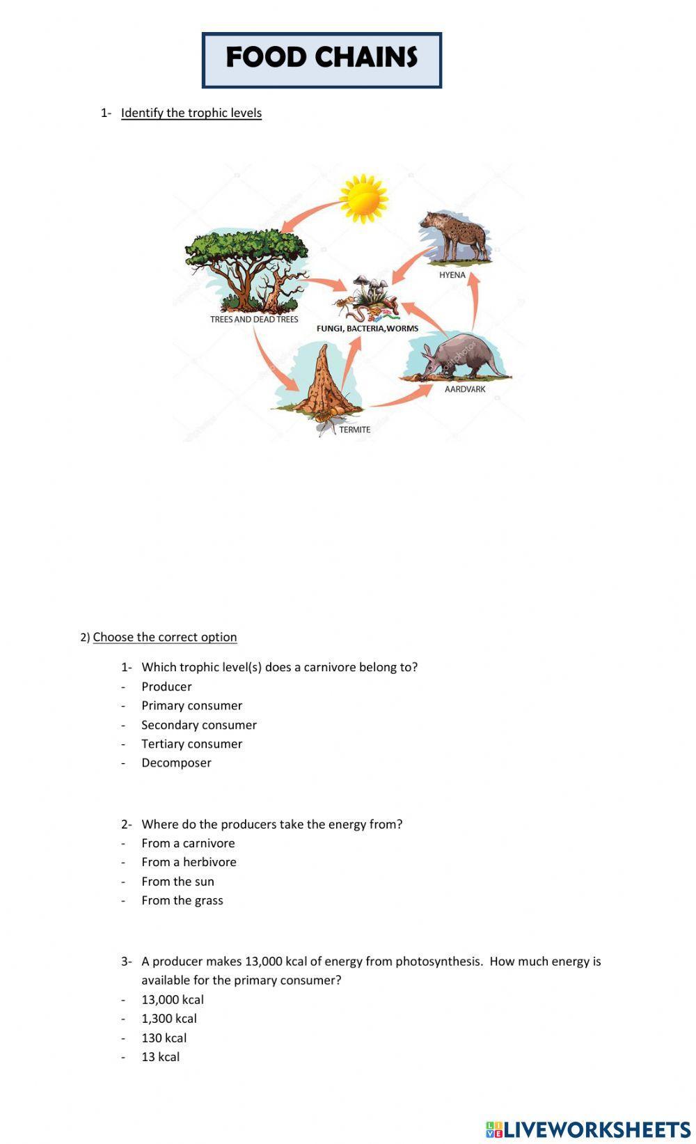 veronicaperretto Biology Diagrams