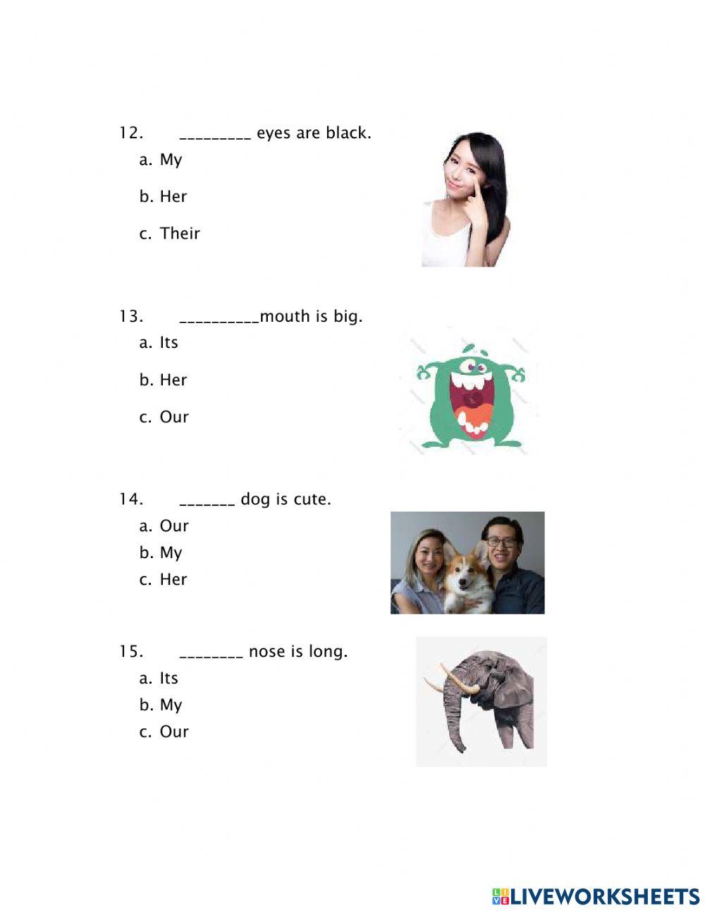 Grammar Possessive Adjectives