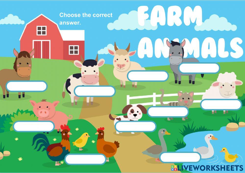 Farm Animals