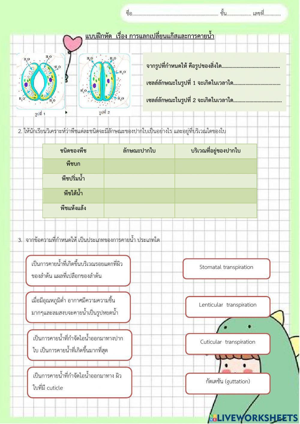 ใบงานการคายน้ำ