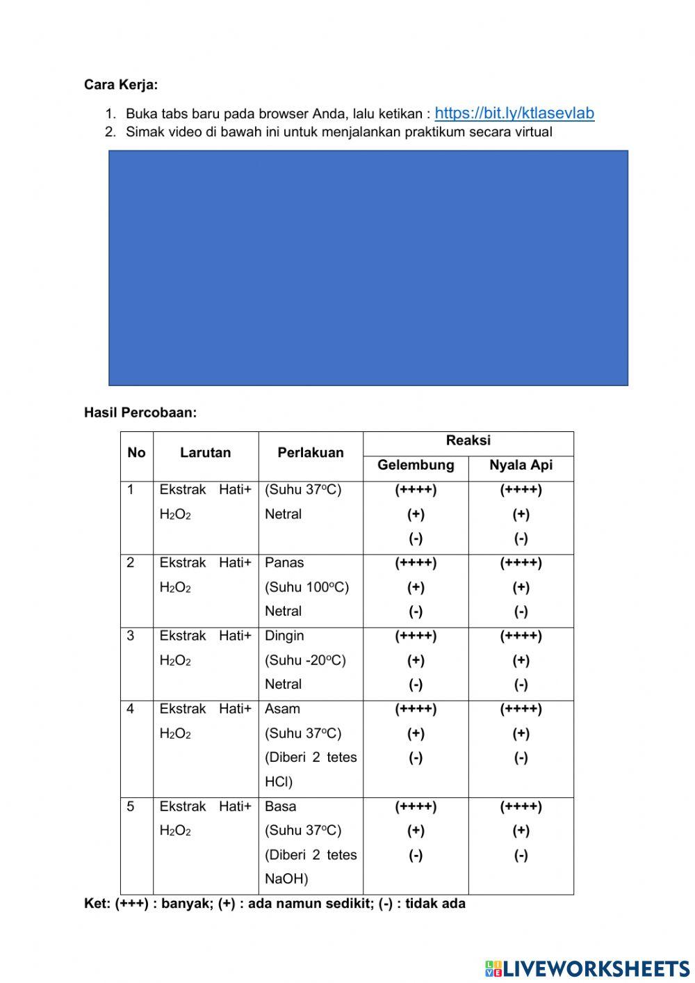 E-LKPD Enzim Katalase
