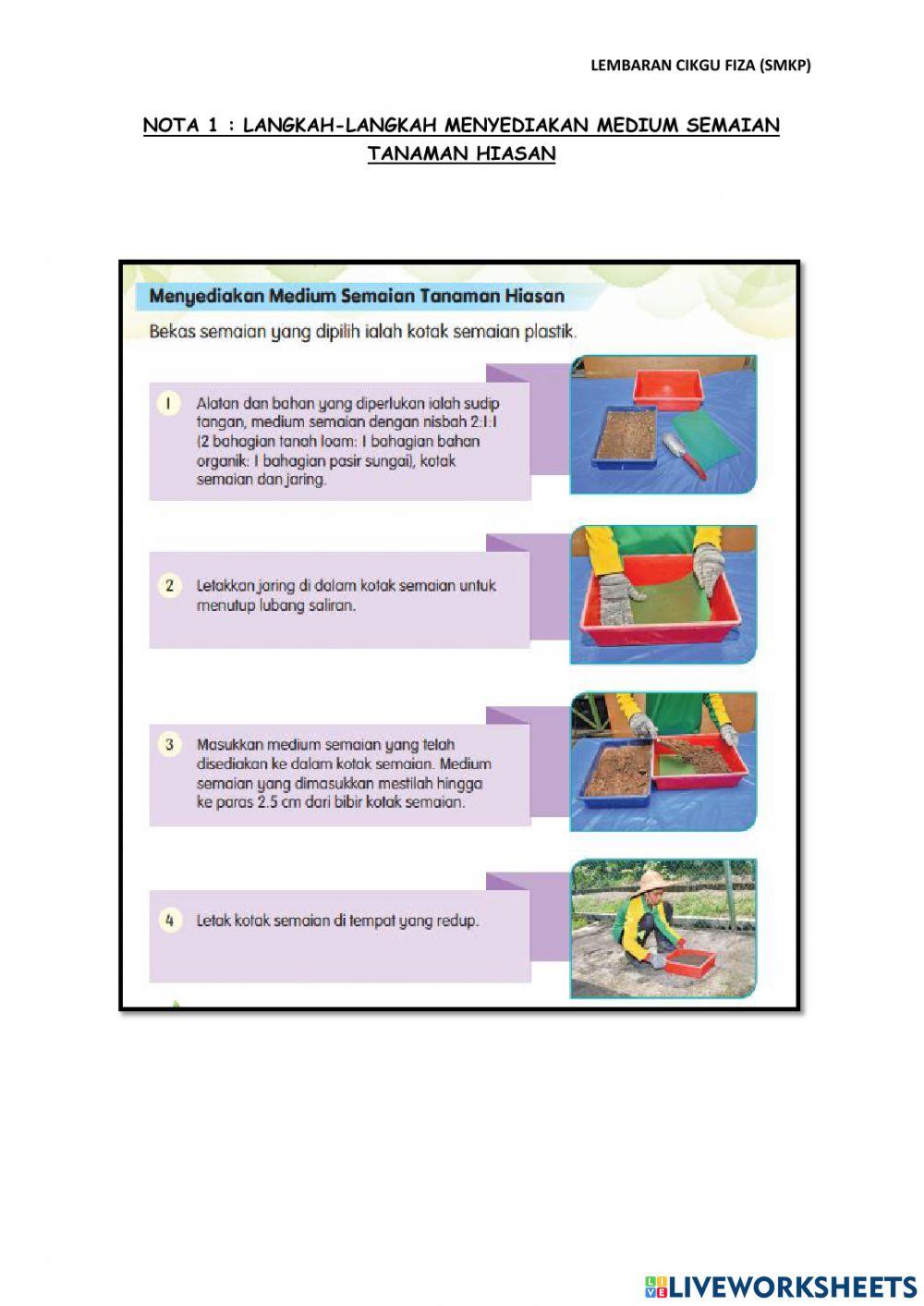 Menyediakan medium semaian tanaman hiasan